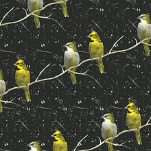 Coleção Cardeal-Amarelo . Arte plastice, Design, Design grafic, Design de model, Decorațiuni, Design vestimentar, Design de produs, Ilustrație tradițională și Pictură în acuarelă de Mariana Prestes - 12.15.2015