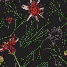 Coleção Cravo-do-Campo . Arte plastice, Decorațiuni, Design, Design vestimentar, Design de produs, Design grafic, Design de model, Ilustrație tradițională și Pictură în acuarelă de Mariana Prestes - 02.16.2017