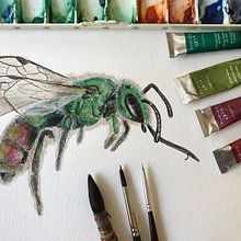 Coleção Abelha-Metálica . Arte plastice, Decorațiuni, Design, Design de produs, Design grafic, Ilustrație tradițională, Design de model și Pictură în acuarelă de Mariana Prestes - 02.16.2018