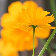 Mi proyecto de leyes visuales en fotografía . Compoziție fotografică de Carlos Flores - 04.17.2020