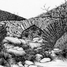 Black&White . Seni Rupa, Menggambar & Ilustrasi tradisional proyek oleh Victoria Inglés - 04.17.2020