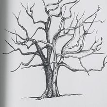 My project in Drawing for Beginners Level -1 course. Drawing project by ciana20 - 04.22.2020
