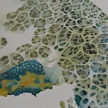 Micromundos. Fine Arts, and Creativit project by Myriam - 04.18.2020