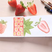 Mini diario naturalista Ein Projekt aus dem Bereich Kreativität, Grafikdesign, Botanische Illustration und Aquarellmalerei von Lara Izquierdo - 18.04.2020