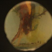 Retrato.. Un proyecto de Dibujo a lápiz, Dibujo artístico, Dibujo de Retrato y Dibujo realista de Nirvana Frías - 19.12.2019