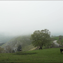 CASA RURAL EL RESPIRO VERDE. Film, Video, TV, Commercial Photograph, and Advertising project by Laura Sanz - 05.13.2018