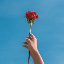 Cortometraje 'LÉO'. Een project van Audiovisuele productie van Dianne Victoria Checa Espinoza - 20.04.2020