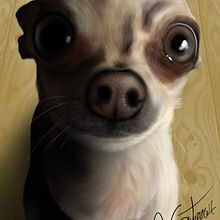 Chiguagua rules!!!. Een project van Digitale tekening y Realistische tekening van Adrián Gutierrez Aguerri - 21.04.2020