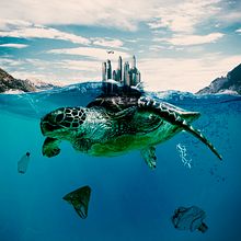 Mi Proyecto del curso: Fotomontaje surrealista con Photoshop  . % david_gomezcar tarafından hazırlanan Yaratıcılık projesi - 04.21.2020