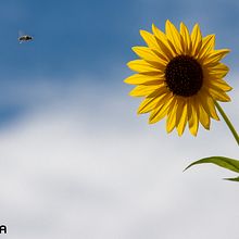 Vicky. Un proyecto de YouTube Marketing y Edición de vídeo de Abelardo G Ochoa Anaya - 16.07.2020