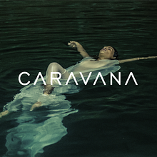 Caravana Brand Book. Br, ing e Identidade, Design, e Design editorial projeto de Jeffrey Ludlow - 31.03.2020