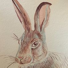 Liebre libre. Un progetto di Pittura ad acquerello di Dany Pera Char - 23.04.2020