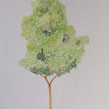 Mi Proyecto del curso: Dibujo para principiantes nivel -1 Ein Projekt aus dem Bereich Bleistiftzeichnung, Zeichnung, Kreativität mit Kindern und Sketchbook von Juan Manuel Ruiz Parra - 24.04.2020