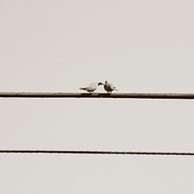 Los veranos en casa. Photograph project by Juan Carlos Alabarce Bustos - 04.23.2020