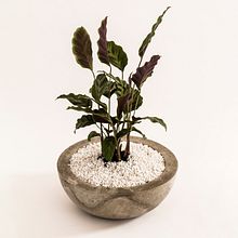 Mi Proyecto del curso: Creación de muebles en concreto para principiantes. Projekt z dziedziny  Dekoracja wnętrz użytkownika Carlos Lira - 30.04.2020