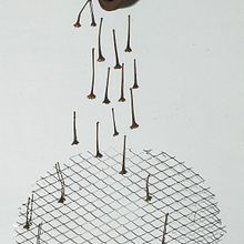 Ver de ver o peso. Un progetto di Belle arti di Arimarques Gonçalves - 11.05.2020