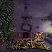 Mi Proyecto del curso: Secretos del fotomontaje y el retoque creativo Ein Projekt aus dem Bereich Artistische Fotografie von Katherine Rodríguez Gaete - 14.05.2020