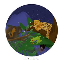 Nocturnal Costa Rica. Un proyecto de Ilustración botánica de Susan López - 09.01.2020