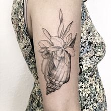 Seashell. Tattoo Design project by Vitória Vilela - 04.27.2020