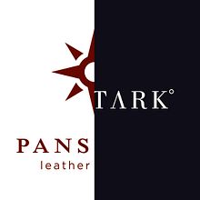 PANSTARK logo redesign. Projekt z dziedziny Projektowanie graficzne użytkownika Nikolay Golovin - 28.04.2020