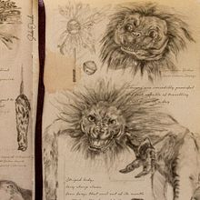 Newt Scamander notebook. Un progetto di Disegno a matita, Design editoriale e Illustrazione tradizionale di Sheila Onandía - 28.04.2020