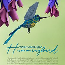 Mi Proyecto del curso: Técnicas avanzadas de papercraft: diseñando con papel. Un proyecto de Dirección de arte, Iluminación fotográfica, Ilustración botánica y Papercraft de Edmi Montoya - 28.04.2020