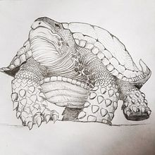 Turtle concept art. Concept Art project by Antar Chiboub - 04.28.2020