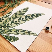 Botánica Minimalista Ein Projekt aus dem Bereich Traditionelle Illustration, Botanische Illustration und Aquarellmalerei von Isabela F - 30.04.2020