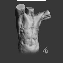 Anatomy_TORSO. Un proyecto de 3D y Escultura de Pedro Javier Asuar Catalán - 30.04.2020