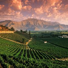 Mendoza, tierra del sol y del buen vino!. Design, Product Photograph, Commercial Photograph, and Marketing project by Lucas Alcaraz Migliorisi - 05.01.2020