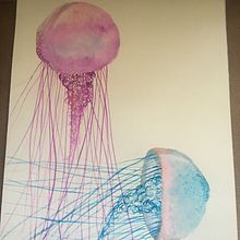 Proyecto final y medusas. Traditional illustration project by Norma Caballero - 05.01.2020