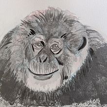 My project in Experimental Watercolor Techniques for Beginners course. Traditional illustration, Fine Arts, Watercolor Painting, and Naturalistic Illustration project by Yifang Tsai - 05.01.2020