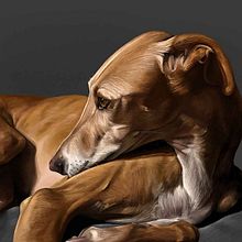 Retratos digitales con Procreate. Drawing, Portrait Drawing, Digital Drawing, Realistic Drawing, Traditional illustration, and Digital Illustration project by Sergi Bastida - 05.01.2020