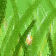 HAIKU 1. 2D Animation project by María Artigas Albarelli - 05.01.2020