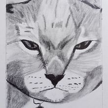 Mi Proyecto es un video del trabajo hecho durante el curso, y la cuenta de instangram en la que lié publicando poco a poco mis dibujos. . Drawing project by Penelope Romero Rumi - 05.01.2020