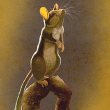 Mi Proyecto del curso: Ilustración naturalista de animales con Procreate. Projekt z dziedziny Trad, c, jna ilustracja, Infografika, Malarstwo c i frowe użytkownika Adrian Yugo - 02.05.2020