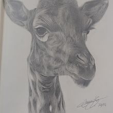 Sudafrica en un cuaderno Ein Projekt aus dem Bereich Bleistiftzeichnung von Oihane - 02.05.2020