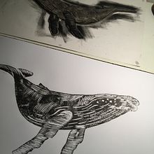 Ballena Jubarta . Fine Arts project by Marco Almeida - 05.02.2020