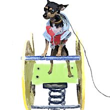 Milo the dog . Animação projeto de Carlos Peña Gutierrez - 15.04.2020