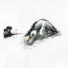 My project in Introduction to Children’s Illustration course - The ugly duckling. Children's Illustration project by Pär Jorwén - 05.03.2020