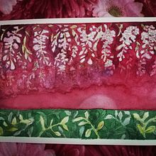 My project in Negative Watercolor Painting for Botanical Illustration course. Un proyecto de Pintura a la acuarela de Annalisa Ziliani - 03.05.2020