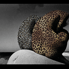 Skins Ein Projekt aus dem Bereich Fotografische Komposition, Digitale Zeichnung, Design, Digitales Design, Fotografie, Artistische Fotografie und Digitalfotografie von Ester Rafael - 01.03.2019