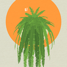 Samambaia. Un projet de Illustration vectorielle, Illustration numérique et Illustration botanique de Ellen Moura - 01.05.2020