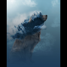 Dog dreaming. Traditional illustration project by Julia Santamaria - 05.05.2020