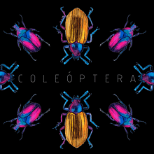 COLEÓPTERA. Un projet de Illustration traditionnelle, Illustration botanique, Peinture , et Aquarelle de ESMERALDA AVILA BOYAS - 06.05.2020