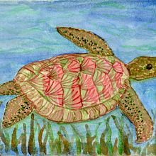 Modern Watercolor Techniques final A Turtle. Watercolor Painting project by Denia Phipps - 05.06.2020