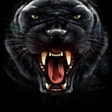 Black Panther (Wild Mode). Traditional illustration, Digital Illustration, and Digital Painting project by Alberto Bravo - 11.18.2017