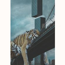 Mi Proyecto del curso: Fotomontaje surrealista con Photoshop . Un progetto di Fotografia digitale di Salvador Tarraso Barber - 07.05.2020