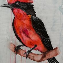 AVES DE MI JARDÍN. Un progetto di Disegno artistico e Illustrazione tradizionale di Juan Martinez Moscoso - 07.05.2020