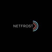 Netfrost. Un proyecto de Br, ing e Identidad, Diseño, Diseño de logotipos y Diseño gráfico de Gabriel Reyes Moreta - 08.05.2020